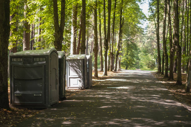 Best Wedding porta potty rental  in La Fayette, AL